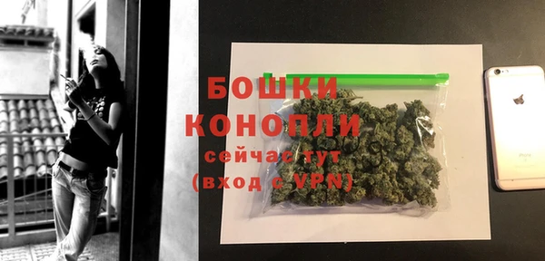 дмт Белокуриха