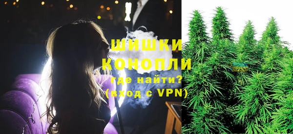 стаф Баксан