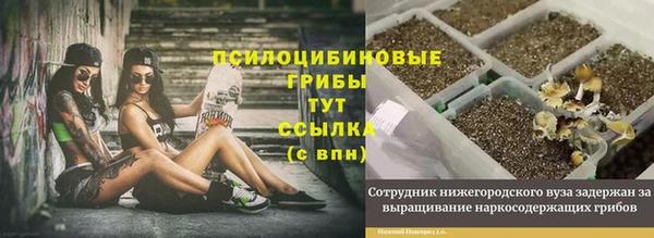 стаф Баксан