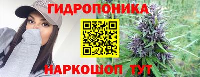 стафф Новокубанск