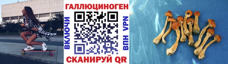 гидра рабочий сайт  Корсаков  Галлюциногенные грибы Cubensis 