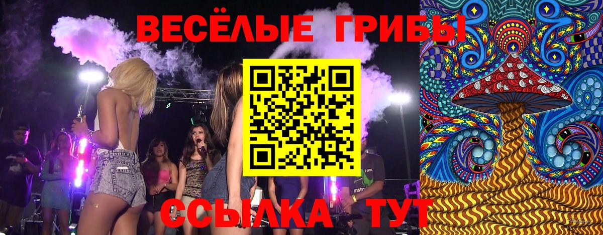 Корсаков  Псилоцибиновые грибы ЛСД  Вход с VPN  Псилоцибиновые грибы GOLDEN TEACHER 