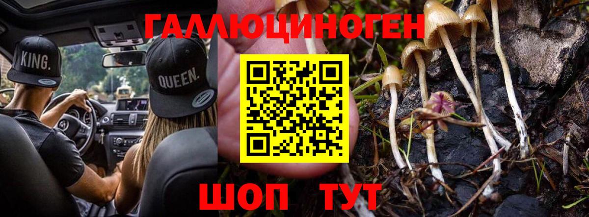 Галлюциногенные грибы мицелий Корсаков